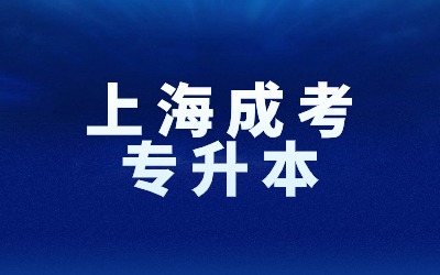 上海成考網上報名